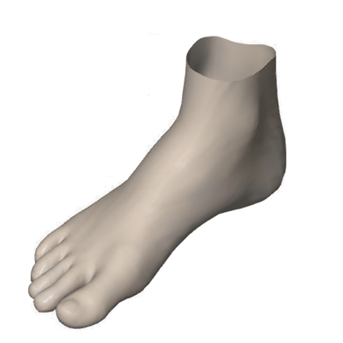 사진 한 장으로 발의 3D 형상을 예측한다고?